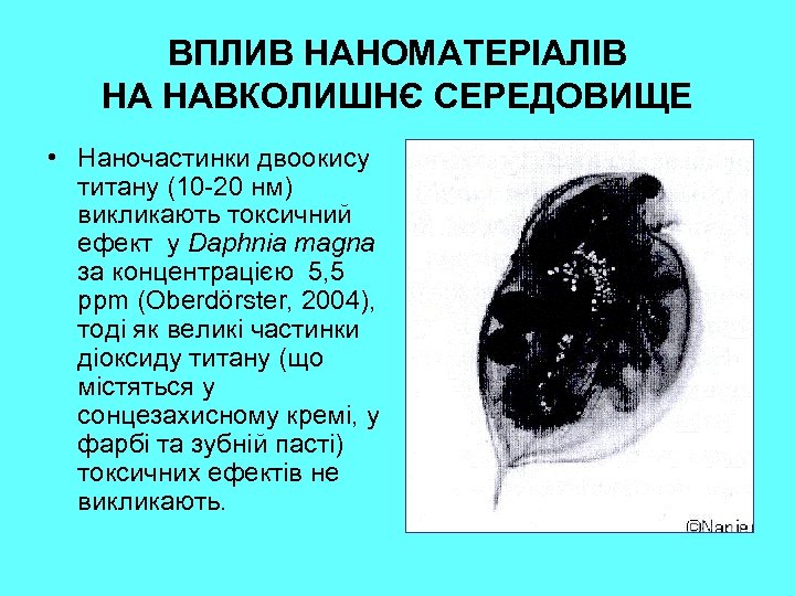 ВПЛИВ НАНОМАТЕРІАЛІВ НА НАВКОЛИШНЄ СЕРЕДОВИЩЕ • Наночастинки двоокису титану (10 -20 нм) викликають токсичний