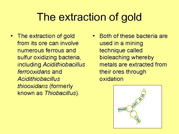 The extraction of gold • The extraction of gold from its ore can involve