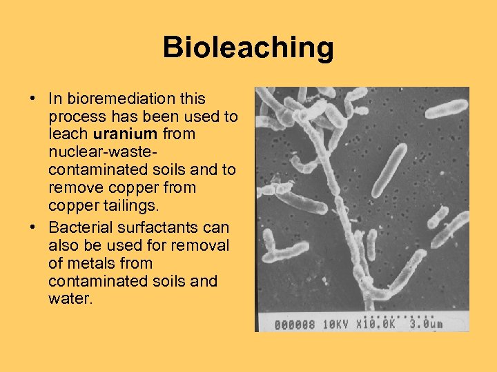 Bioleaching • In bioremediation this process has been used to leach uranium from nuclear-wastecontaminated