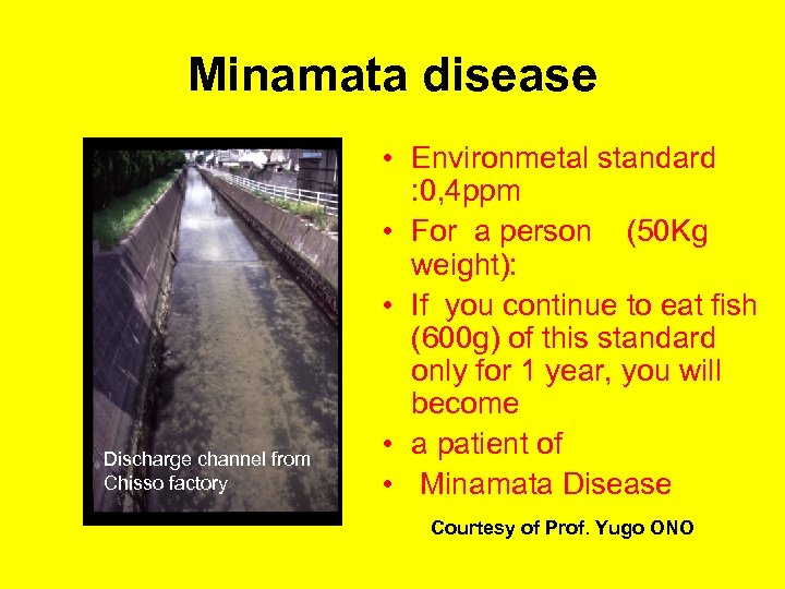 Minamata disease Discharge channel from Chisso factory • Environmetal standard : 0, 4 ppm