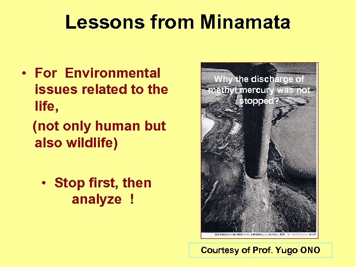Lessons from Minamata • For Environmental issues related to the life, (not only human