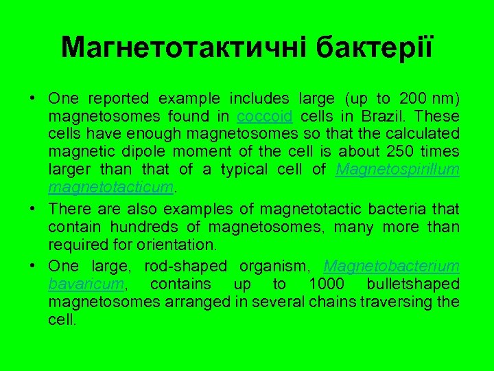 Магнетотактичні бактерії • One reported example includes large (up to 200 nm) magnetosomes found