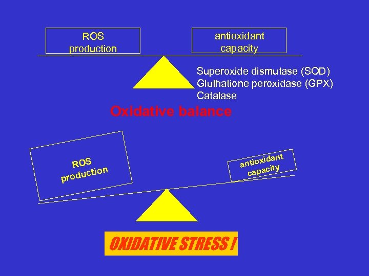 ROS production antioxidant capacity Superoxide dismutase (SOD) Gluthatione peroxidase (GPX) Catalase Oxidative balance ROS