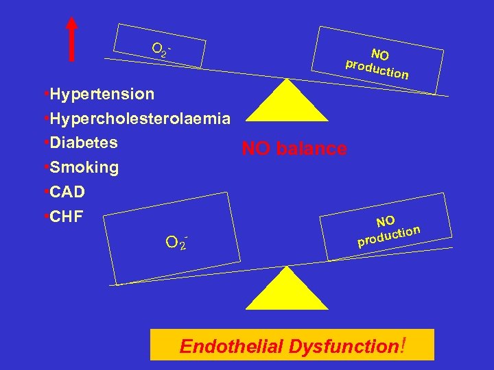 O 2 - NO produ ction • Hypertension • Hypercholesterolaemia • Diabetes NO balance