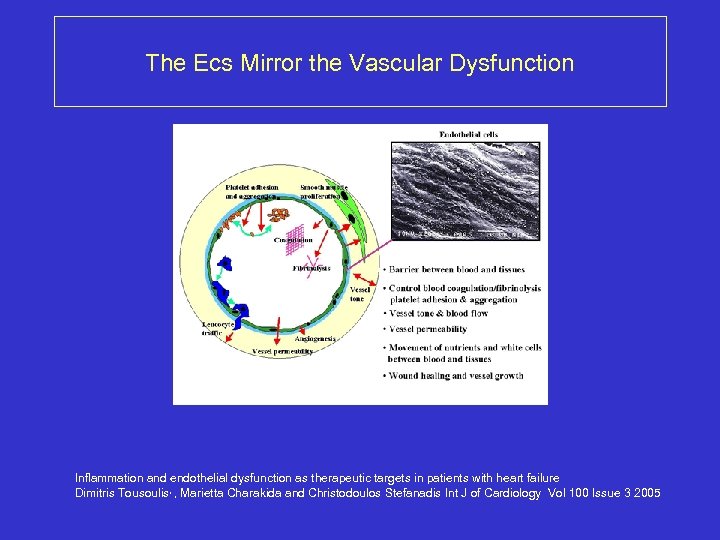 The Ecs Mirror the Vascular Dysfunction Inflammation and endothelial dysfunction as therapeutic targets in