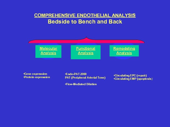 COMPREHENSIVE ENDOTHELIAL ANALYSIS Bedside to Bench and Back Molecular Analysis • Gene expression •