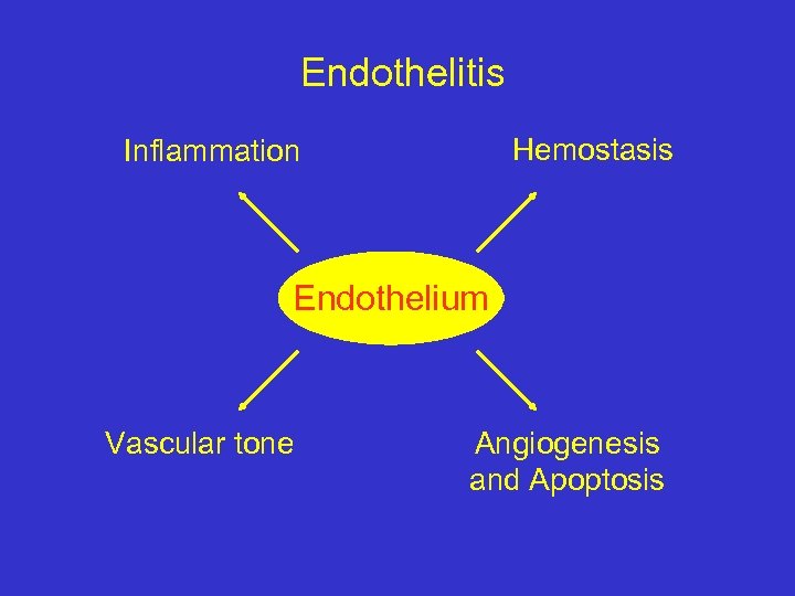 Endothelitis Hemostasis Inflammation Endothelium Vascular tone Angiogenesis and Apoptosis 