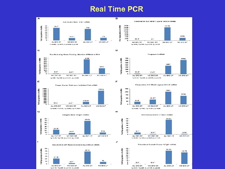 Real Time PCR 