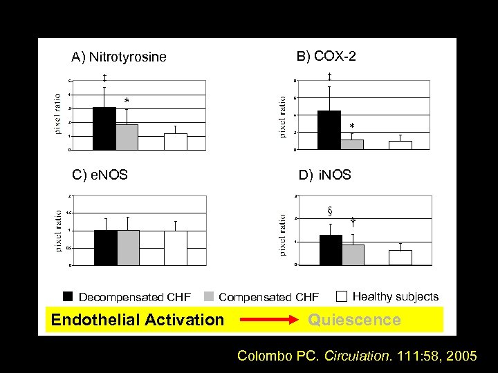 B) COX-2 A) Nitrotyrosine 5 ‡ 4 * 3 ‡ 8 6 4 2