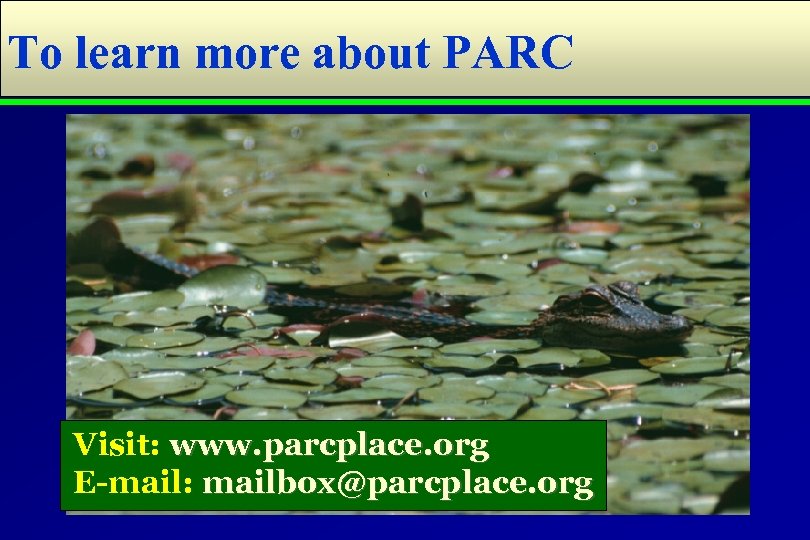 To learn more about PARC Visit: www. parcplace. org E-mail: mailbox@parcplace. org 