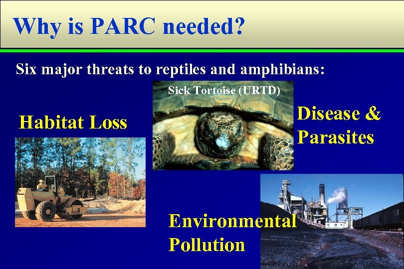 Why is PARC needed? Six major threats to reptiles and amphibians: Sick Tortoise (URTD)