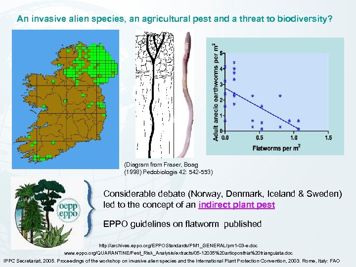 An invasive alien species, an agricultural pest and a threat to biodiversity? (Diagram from
