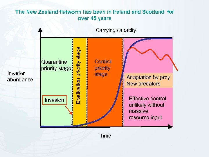 The New Zealand flatworm has been in Ireland Scotland for over 45 years Invader