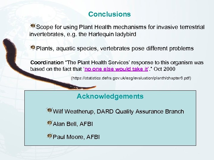 Conclusions Scope for using Plant Health mechanisms for invasive terrestrial invertebrates, e. g. the
