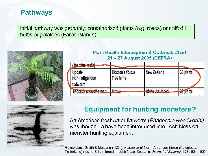 Pathways Initial pathway was probably: containerised plants (e. g. roses) or daffodil bulbs or
