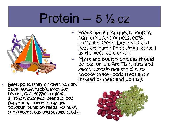 Protein – 5 ½ oz • • Foods made from meat, poultry, fish, dry