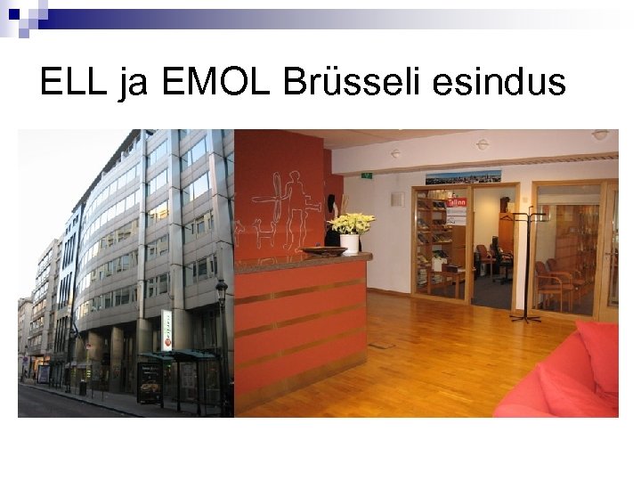 ELL ja EMOL Brüsseli esindus 