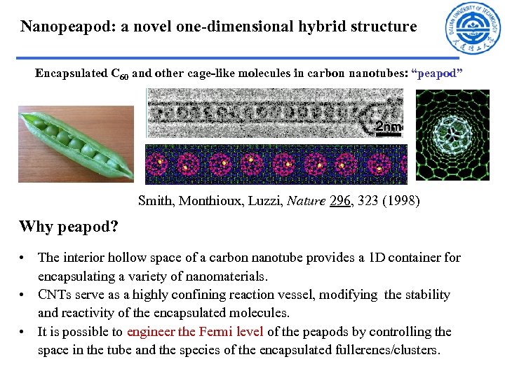 Nanopeapod: a novel one-dimensional hybrid structure Encapsulated C 60 and other cage-like molecules in