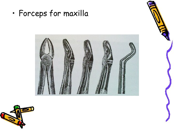  • Forceps for maxilla 