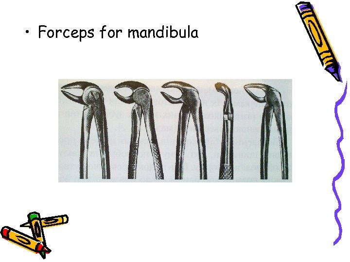  • Forceps for mandibula 