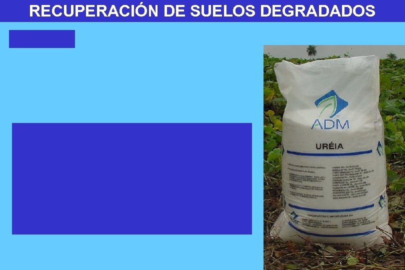 RECUPERACIÓN DE SUELOS DEGRADADOS 