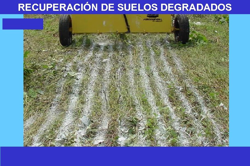 RECUPERACIÓN DE SUELOS DEGRADADOS 