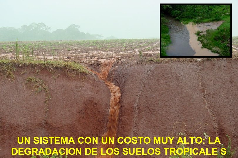 UN SISTEMA CON UN COSTO MUY ALTO: LA DEGRADACION DE LOS SUELOS TROPICALE S