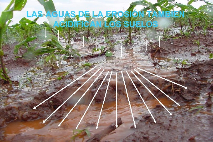 LAS AGUAS DE LA EROSIÓN TAMBIEN ACIDIFICAN LOS SUELOS 