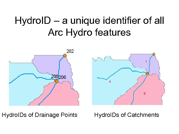 Hydro. ID – a unique identifier of all Arc Hydro features Hydro. IDs of