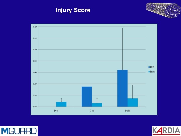 Injury Score 