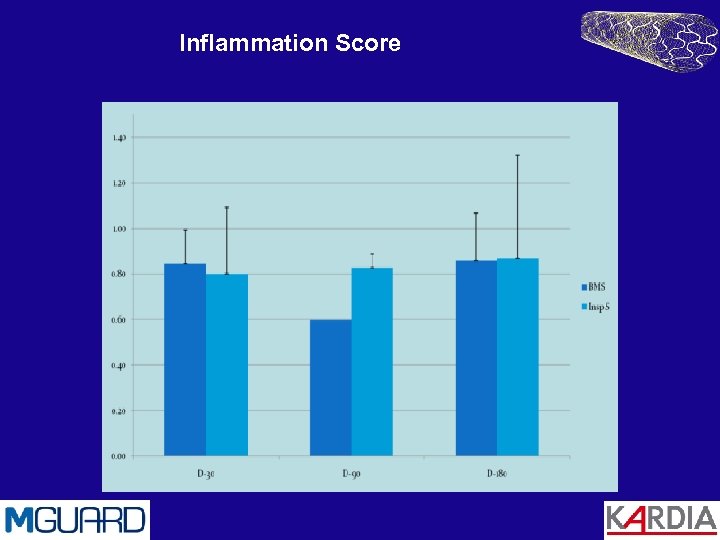 Inflammation Score 