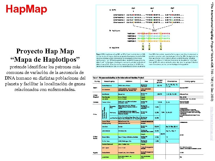 Proyecto Hap Map “Mapa de Haplotipos” pretende identificar los patrones más comunes de variación