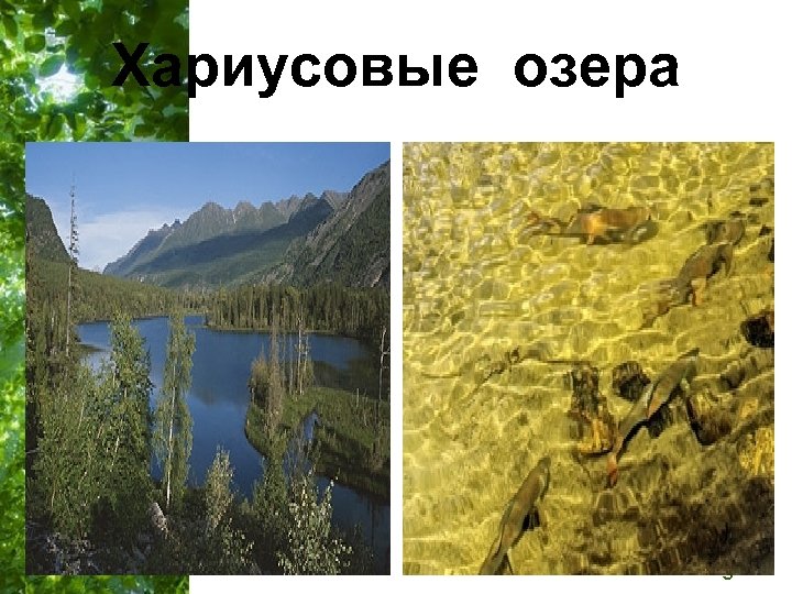 Хариусовые озера Free Powerpoint Templates Page 14 