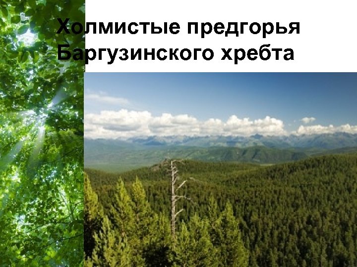 Холмистые предгорья Баргузинского хребта Free Powerpoint Templates Page 40 