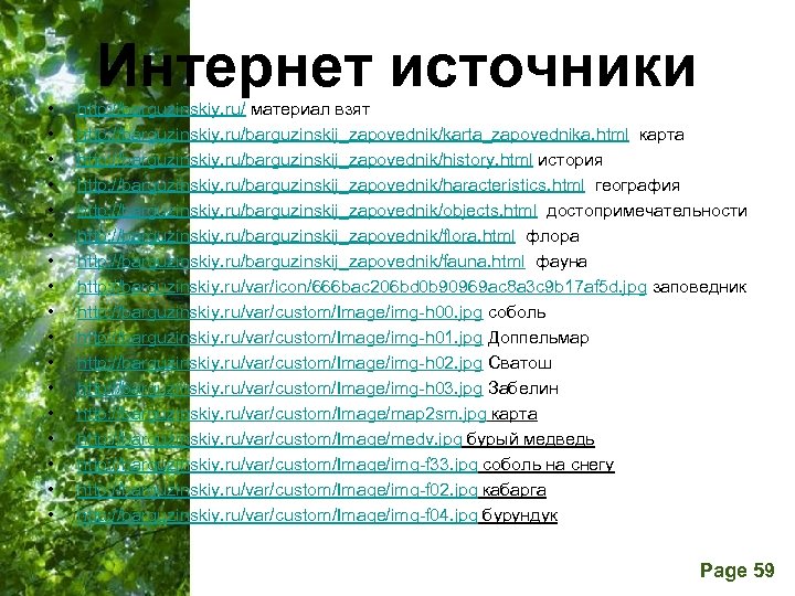  • • • • • Интернет источники http: //barguzinskiy. ru/ материал взят http: