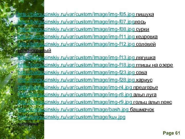  • • • • http: //barguzinskiy. ru/var/custom/Image/img-f 05. jpg пищуха http: //barguzinskiy. ru/var/custom/Image/img-f