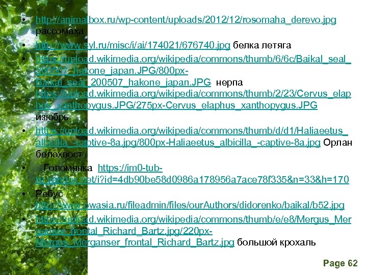  • • http: //animalbox. ru/wp-content/uploads/2012/12/rosomaha_derevo. jpg рассомаха http: //www. syl. ru/misc/i/ai/174021/676740. jpg белка