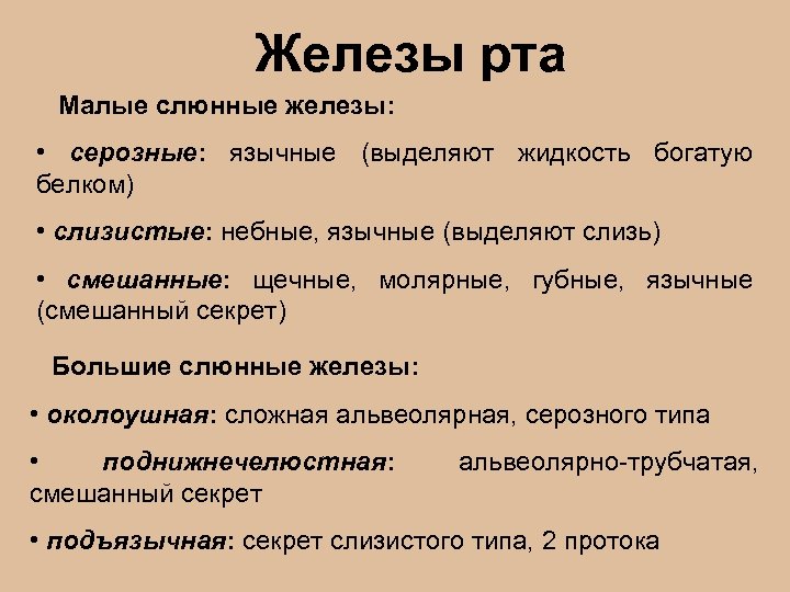 Железы рта Малые слюнные железы: • серозные: язычные (выделяют жидкость богатую белком) • слизистые: