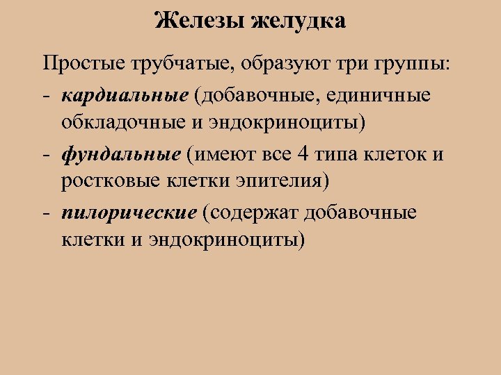 Железы желудка Простые трубчатые, образуют три группы: - кардиальные (добавочные, единичные обкладочные и эндокриноциты)