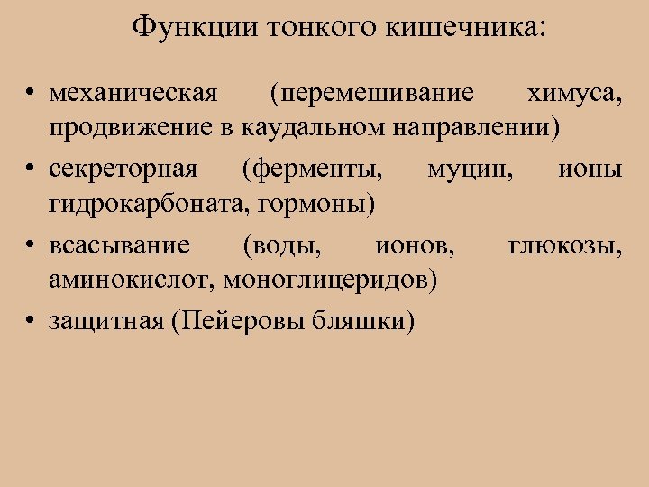 Функции тонкого кишечника: • механическая (перемешивание химуса, продвижение в каудальном направлении) • секреторная (ферменты,