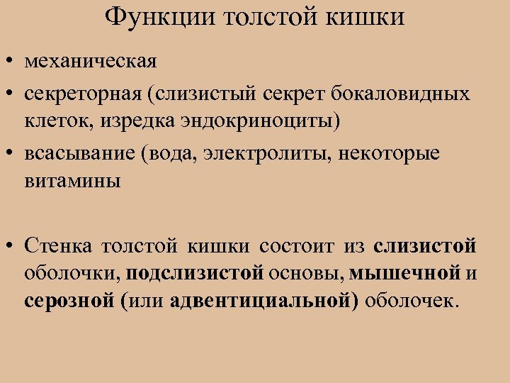 Функции толстой кишки • механическая • секреторная (слизистый секрет бокаловидных клеток, изредка эндокриноциты) •