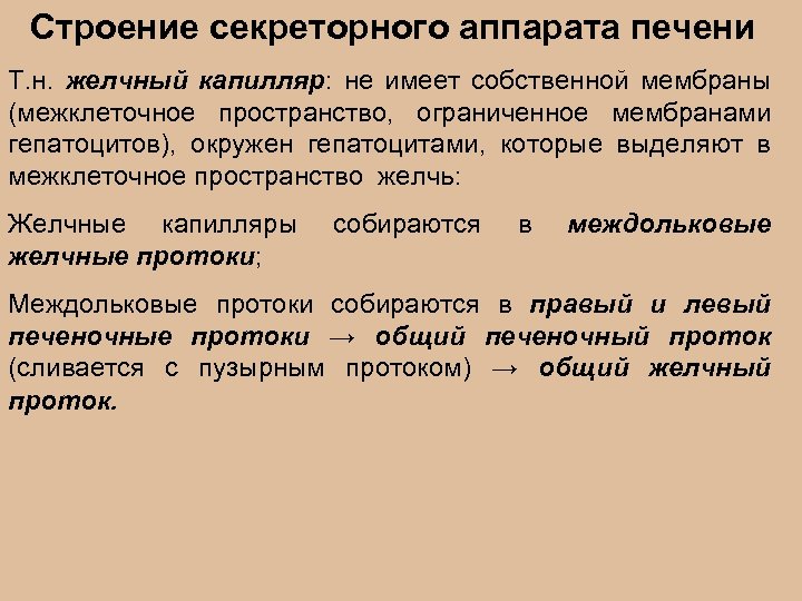 Строение секреторного аппарата печени Т. н. желчный капилляр: не имеет собственной мембраны (межклеточное пространство,
