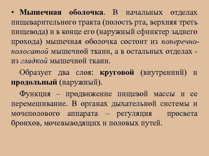  • Мышечная оболочка. В начальных отделах пищеварительного тракта (полость рта, верхняя треть пищевода)