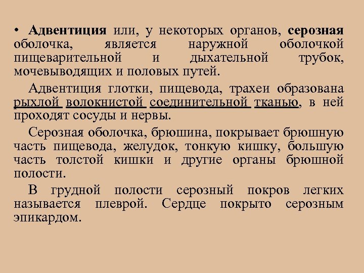  • Адвентиция или, у некоторых органов, серозная оболочка, является наружной оболочкой пищеварительной и