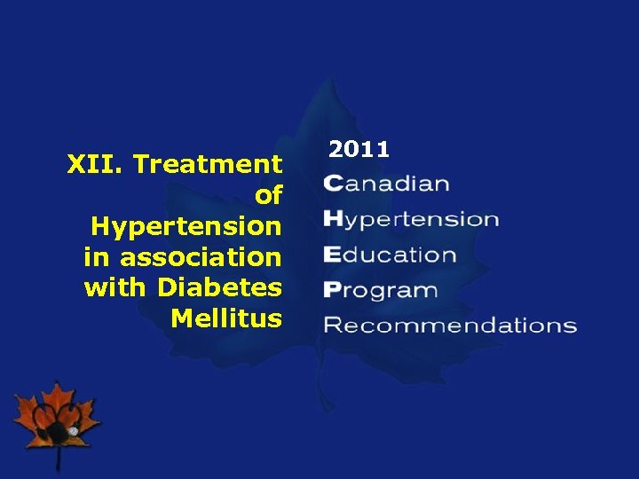 XII. Treatment of Hypertension in association with Diabetes Mellitus 2011 