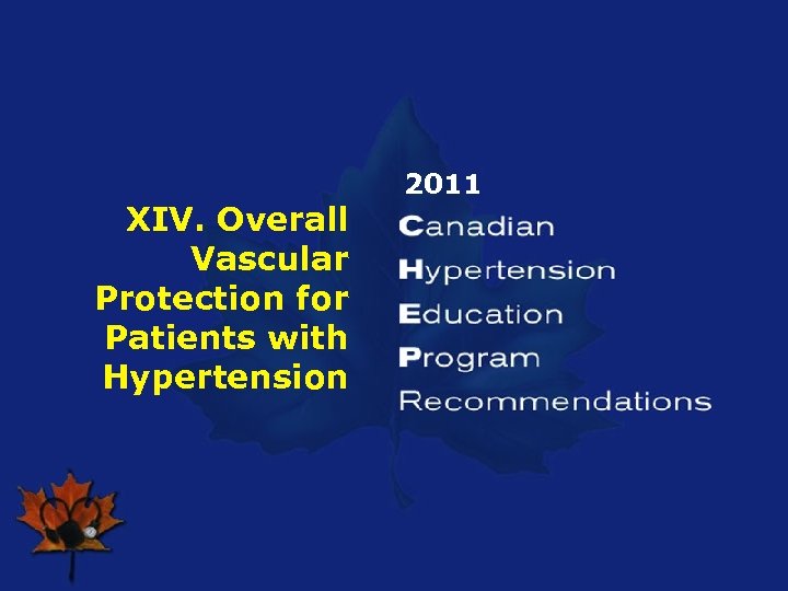 XIV. Overall Vascular Protection for Patients with Hypertension 2011 