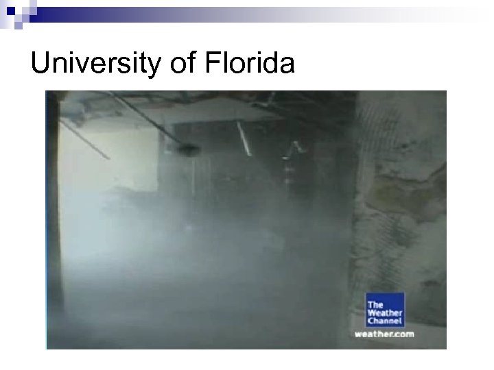 University of Florida 