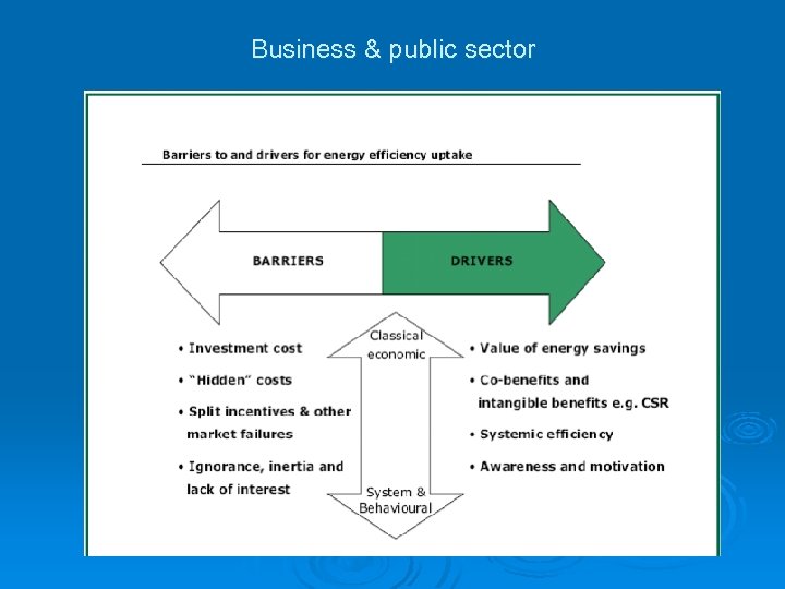 Business & public sector 