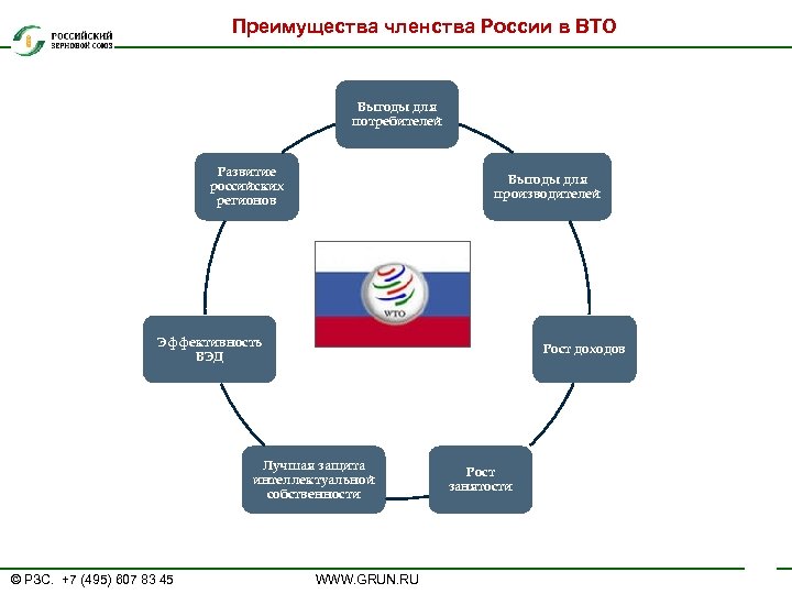 Преимущества членства России в ВТО Выгоды для потребителей Развитие российских регионов Выгоды для производителей
