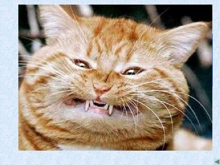 В переводе с латинского это слово означает «часть чего-либо» Партия 